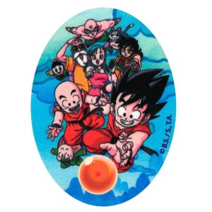 Parches Ropa Dragon Ball – Parche Impreso Ropa – Manga – SuperHéroes – (licencia oficial) – Bola de Dragón – Goku & Friends – Guerreros – Lucha – Aventurer@s – Amistad – Amig@os – 11,0 x 8,0 cm. - Moda The Happy Patch
